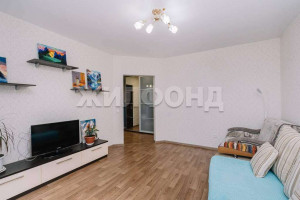  1- , ,  ., 253,  