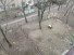  1- , ,  ., 13,  