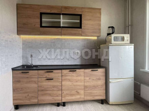 Продажа 1-комнатной квартиры, Новосибирск, Игарская ул., 5, Новосибирская область