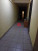  , , - ., 83,  