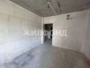  1- , ,  ., 11,  
