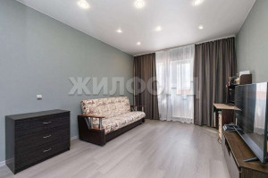 Продажа 1-комнатной квартиры, Новосибирск, Фадеева ул., 66, Новосибирская область