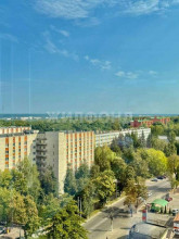  3- , ,  ., 21,  
