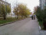  1- ,   ,  , 10,  
