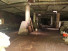    , ,   , 54,  