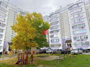  3- , ,  ., 97,  