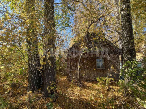 Продажа дома, Новосибирск, Бугринская роща территория снт, 69, Новосибирская область