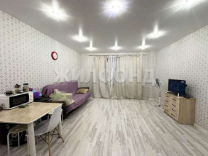 Продажа -комнатной квартиры, Новосибирск, Виктора Шевелева ул., 16, Новосибирская область