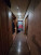  3- , ,  ., 25,  