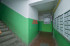  2- , ,   ., 13,  