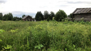 Продажа земельного участка под коммерческую застройку, Озёл с., республика Коми