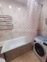 Аренда 1-комнатной квартиры, Новосибирск, Березовая ул, 19, Новосибирская область