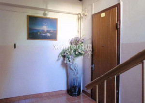 ������� 3-��������� ��������, ����, �������� ��., 13, ������������� ����