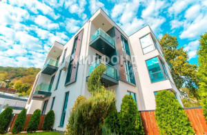 ������� 1-��������� ��������, ����, ����������� ��., 219, ������������� ����