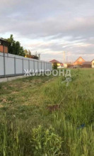 ������� ���������� �������, �����, �������� �., ������������ ��., ������������� ����