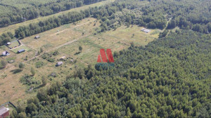 ������� ���������� �������, �������� �., ����������� �������