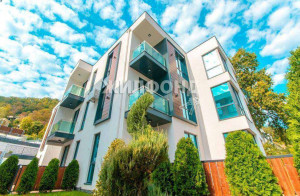 ������� 1-��������� ��������, ����, ����������� ��., 219, ������������� ����