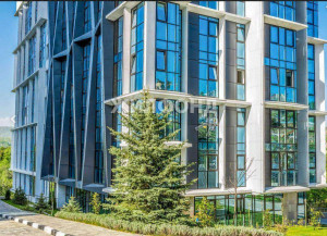 ������� -��������� ��������, ����, ����������� ��, 16, ������������� ����