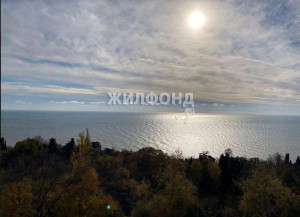 ������� 1-��������� ��������, ����, ��������� ��., 6�, ������������� ����