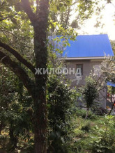 ������� ����, ����, ����� ��, ������������� ����