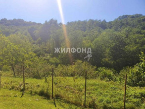 ������� ����, �.��������������� ���, ������ ���, ������������� ����