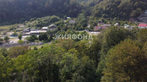 ������� ����, ����, ��������� �., ��������� ��., ������������� ����