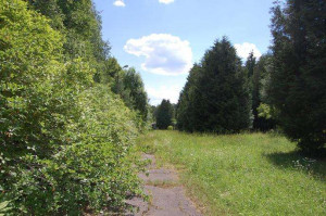 ������� ���������� �������, ���������� ���������� ������ ����� �� ��� ����� ���������, ���������� �������