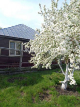 ������� ����, �����, ������� ��., ��������� ����