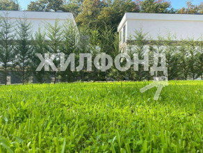 ������� ����, ����, ����� ������ ��., ������������� ����