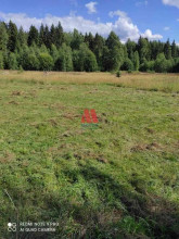 ������� ���������� �������, ������� ����� �., ����������� �������