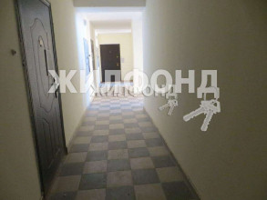 ������� 1-��������� ��������, �����������, ����-����������� ����� ��., 17, ������������� �������