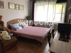 ������� 3-��������� ��������, ����, ����������� ��., 56, ������������� ����