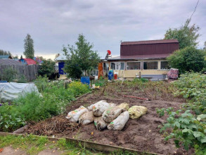 ������� ����, �����������, �����-���������� ��