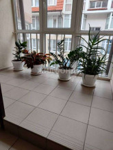 ������� 1-��������� ��������, ���������, ����������� ��., 67, ������������� ����