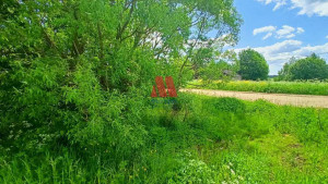 ������� ���������� �������, ���������� �., ����������� �������