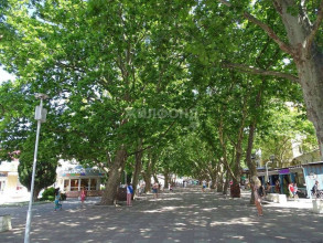 ������� 1-��������� ��������, ���������, ����������� ��., 27, ������������� ����