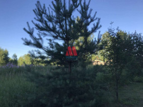 ������� ���������� �������, �.��������, �������� ����������, ����������� �������