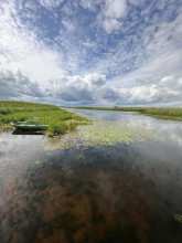 ������� ���������� �������, ������� �., ��������� �������