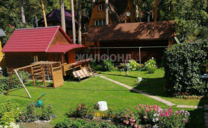 ������� ����, �����������, ������ ���������� ���, ������������� �������