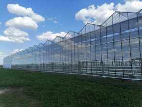 ������� ��������� ���������� ����������, ������� �����������, ������� ��, 1, ������������� ����