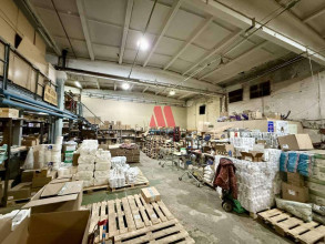 ������ ���������������-���������� ���������, ���������, ��������� ���� ��., 1, ����������� �������