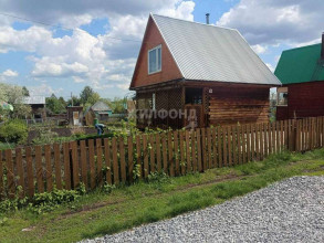 ������� ����, ������������� �������, ������ ����� ���������� ���, ������������� �������