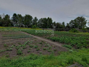 ������� ����, �.���-����, ������ ��, ���������� ����