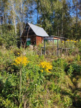 ������� ����, ������������� �������, ������� ������ ���������� ���, ������������� �������