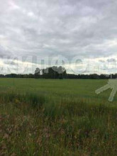 ������� ����, � ����������, ����������� ��, ������������� �������