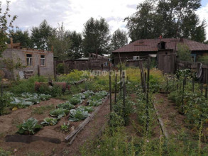 ������� ����, �����, ������� ���� ��., ���������� ����