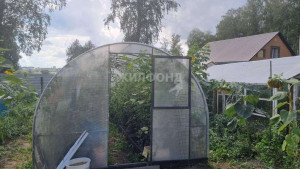 ������� ����, �.�����������, ������ ��, ������������� �������