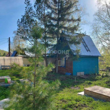 ������� ����, ������������� �������, ������� ������� ������������, ������������� �������