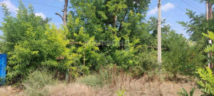 ������� ����, ������� ���������������, ������������ ��, �������������� ����