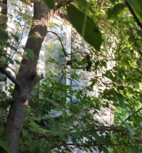 ������� 1-��������� ��������, �����������, ������� ��., 5, ������������� �������